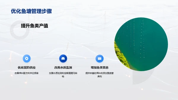 优化鱼塘经营策略