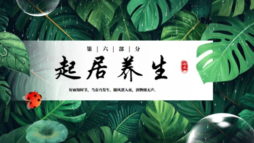雨水节气通用PPT模板