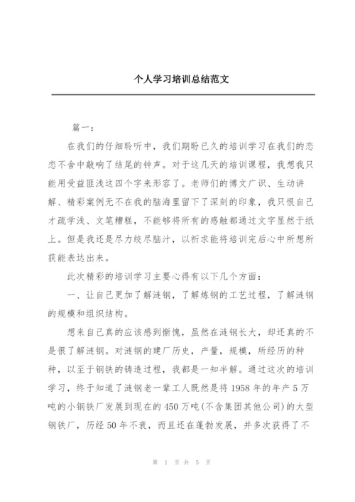 个人学习培训总结范文.docx