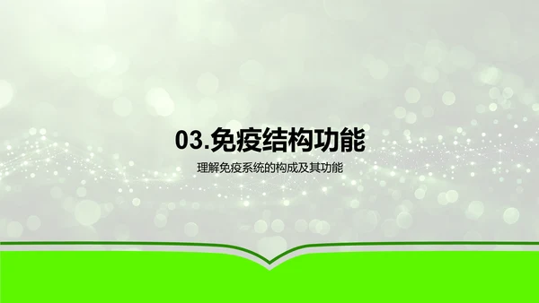 高二生物免疫系统讲解