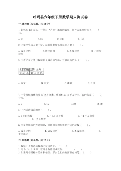 呼玛县六年级下册数学期末测试卷带答案.docx