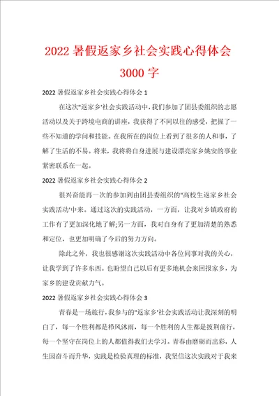 2022暑假返家乡社会实践心得体会3000字