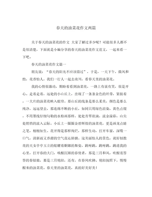 春天的油菜花作文两篇