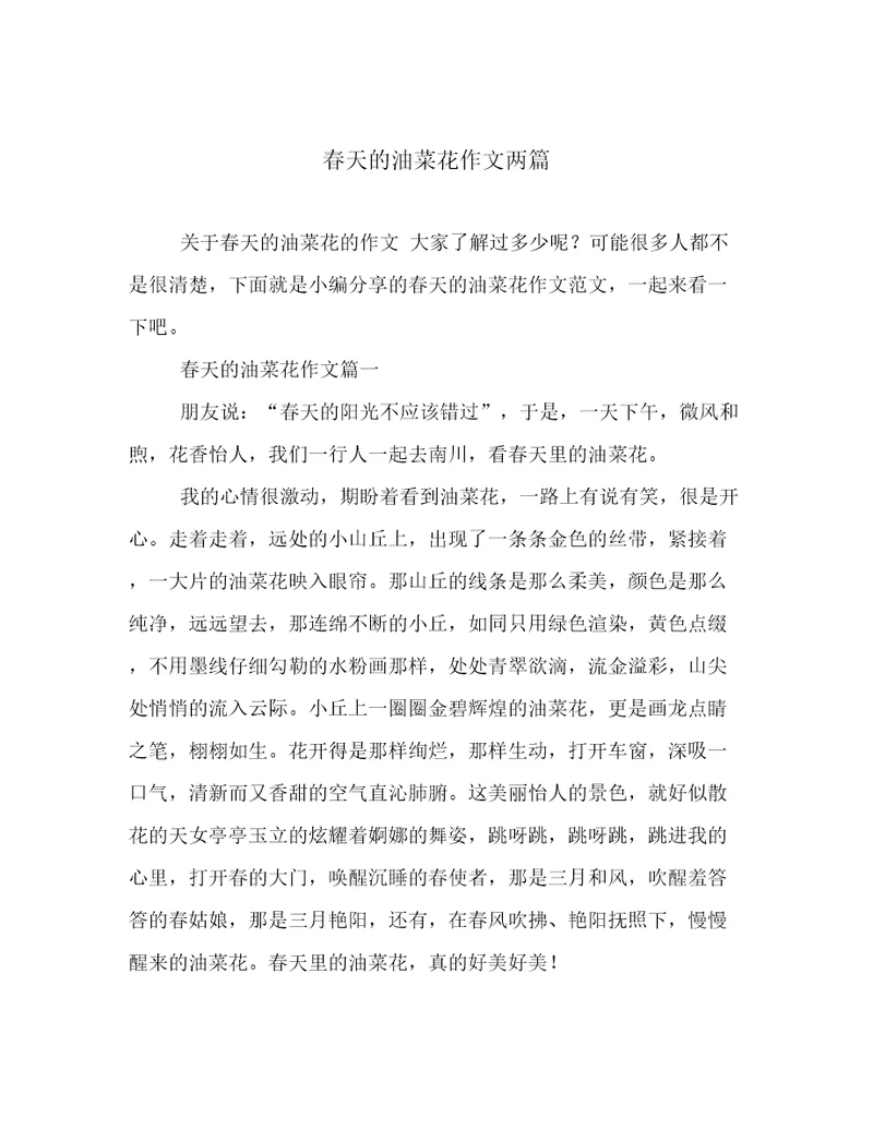 春天的油菜花作文两篇