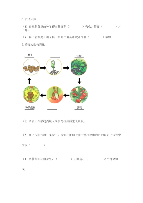 科学四年级下册第一单元《植物的生长变化》测试卷含答案（满分必刷）.docx