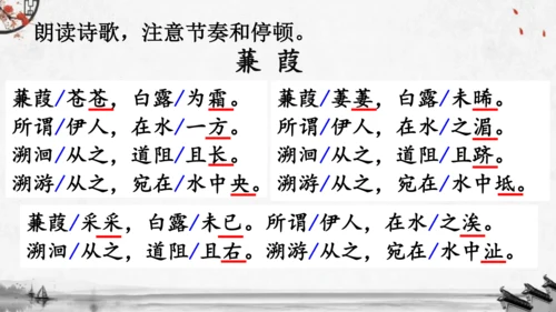 12《诗经》二首《蒹葭》课件(共19张PPT)