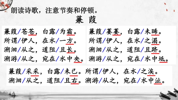 12《诗经》二首《蒹葭》课件(共19张PPT)