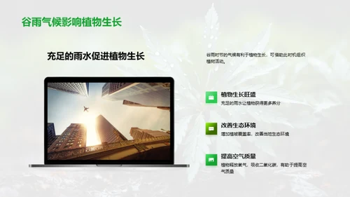 谷雨节气与环保