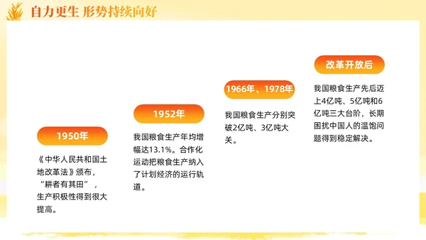 大学生形势与政策保障粮食安全的中国策ppt课件党建