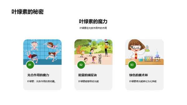 揭秘绿色之源