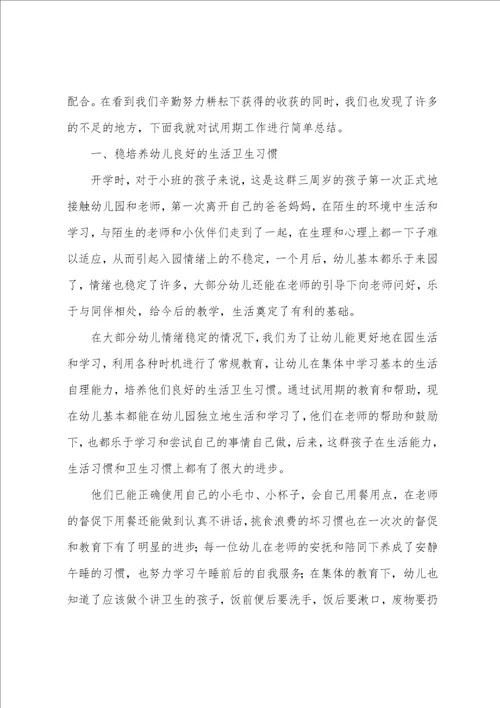 幼儿园教师试用期总结报告