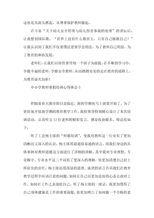 中小学教师寒假培训心得体会.docx