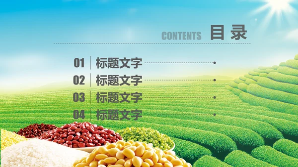 粮食五谷杂粮食品健康营养讲座PPT模板