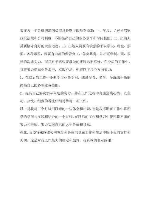出纳试用期工作总结格式