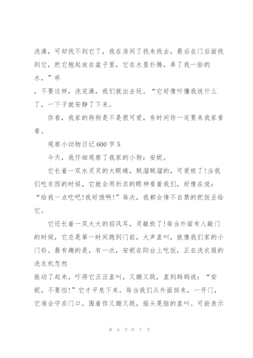 观察小动物日记600字5篇.docx