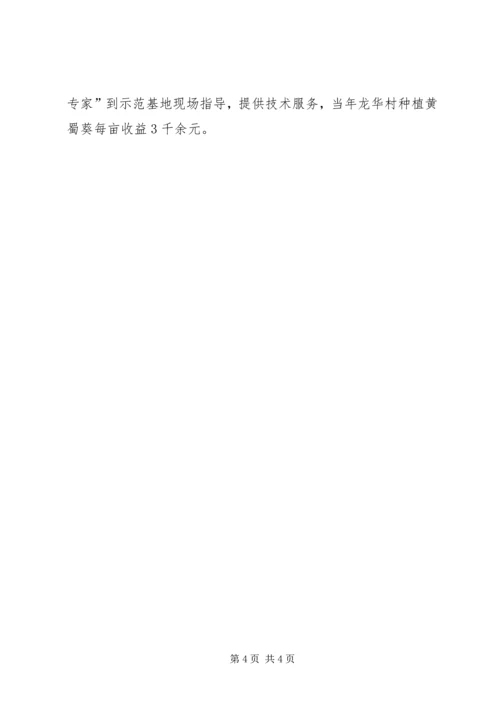 村党总支第一书记典型材料 (2).docx
