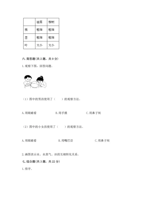 教科版科学一年级上册第一单元《植物》测试卷（a卷）word版.docx