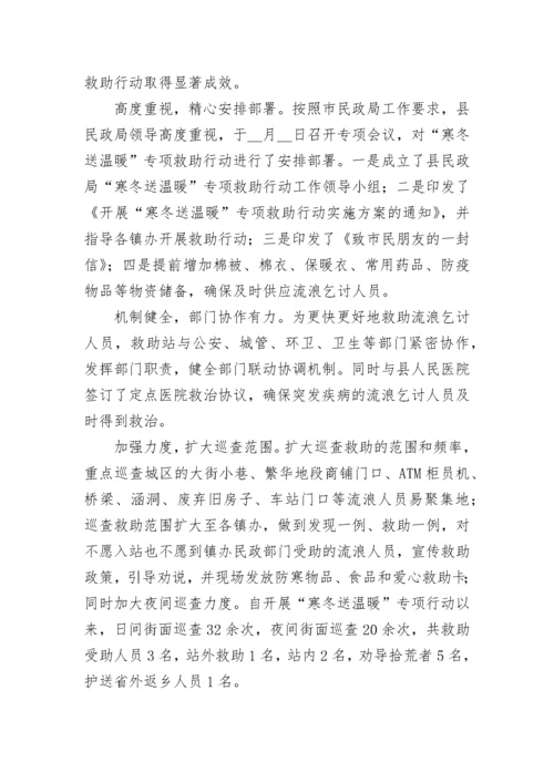 2023寒冬送温暖专项救助行动工作总结五篇.docx