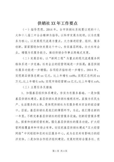 供销社XX年工作要点 (2).docx