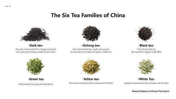 绿色简约中国茶文化研究英语演讲