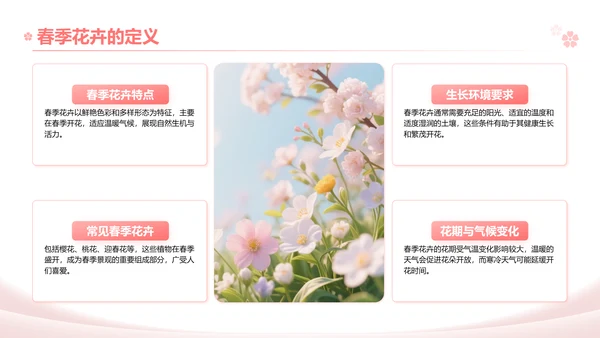 粉色实景风春季花卉主题汇报PPT模板
