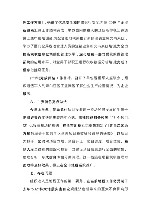 税务注销自查报告