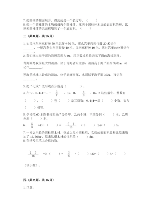 北师大版数学小升初模拟试卷审定版.docx