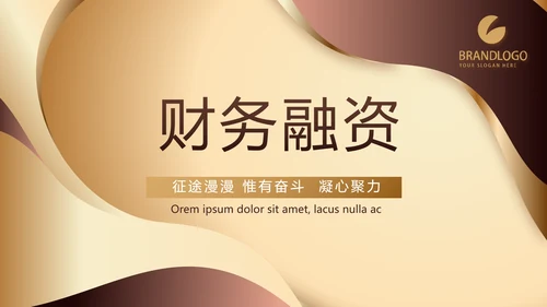 大气商业计划书PPT动态模板