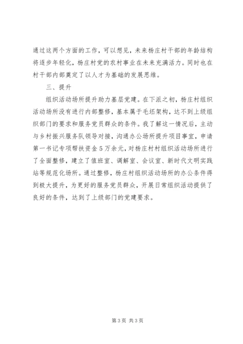 抓基层党建促乡村振兴做法介绍.docx