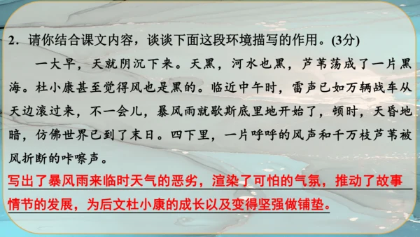 17《孤独之旅》课件