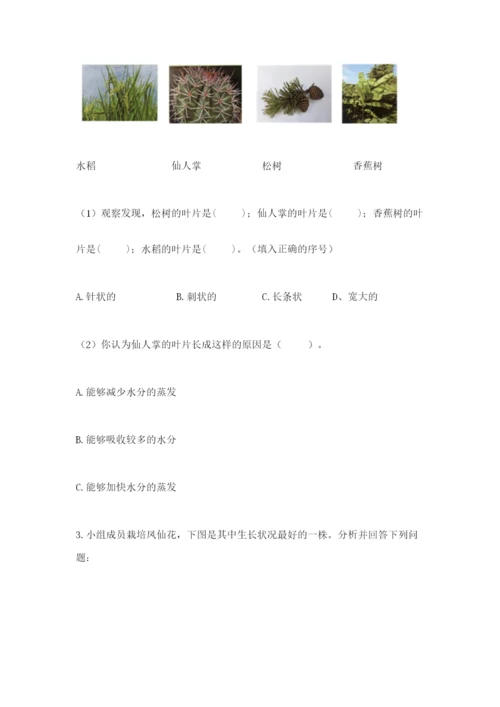 教科版四年级下册科学第一单元《植物的生长变化》测试卷汇编.docx