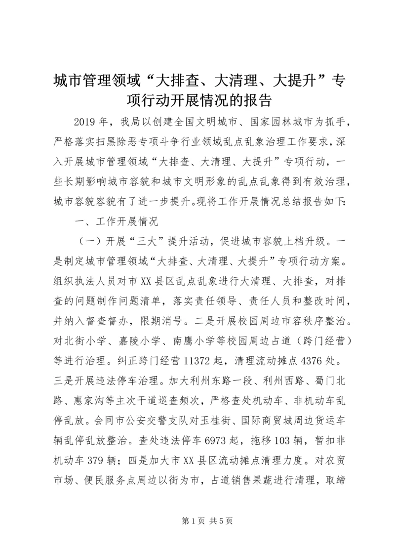 城市管理领域“大排查、大清理、大提升”专项行动开展情况的报告.docx