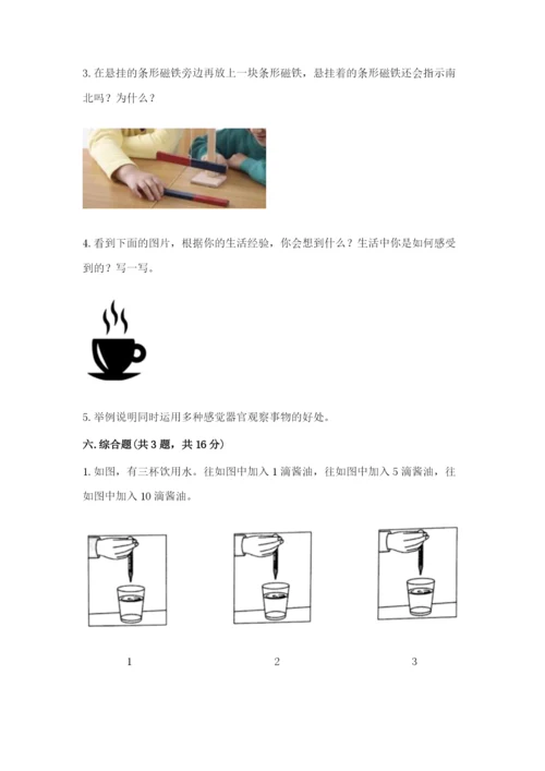 教科版小学科学二年级下册 期末测试卷含答案.docx