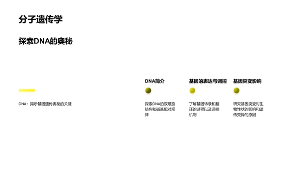 生物科学实践教学PPT模板