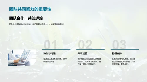 谷雨营销策略