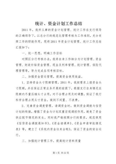 统计、资金计划工作总结精编.docx