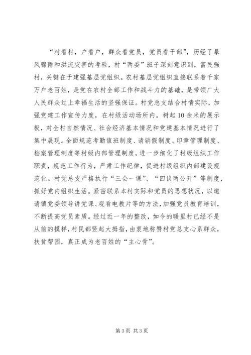 村党总支晋位升级典型材料.docx