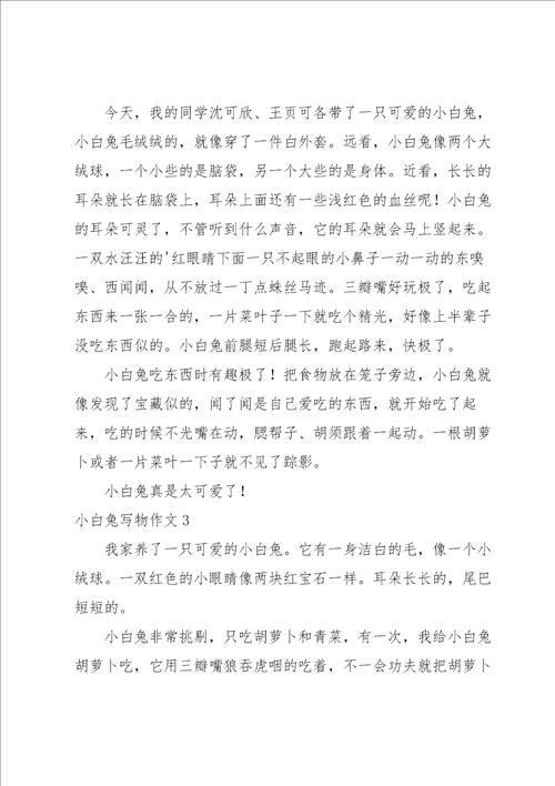 小白兔写物作文