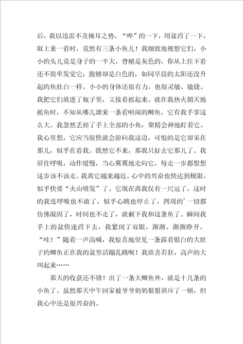 2022我的小学六年级作文汇编五篇