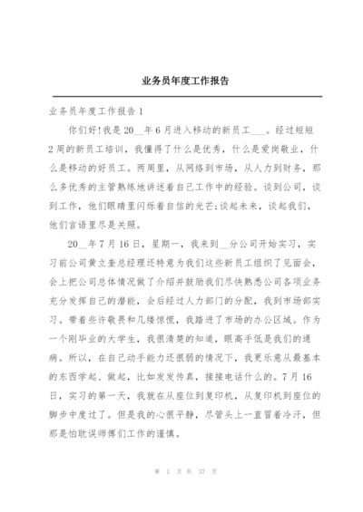 业务员年度工作报告.docx