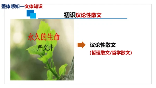第16课《永久的生命》同步课件