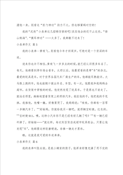 精选小表弟作文六篇