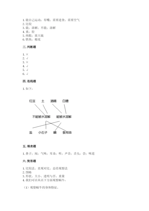 教科版一年级下册科学期末测试卷精品（夺冠）.docx