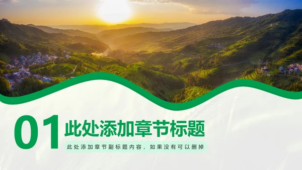 绿色简约风农学专业科研总结