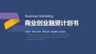蓝色简约商业融资计划书通用PPT模板