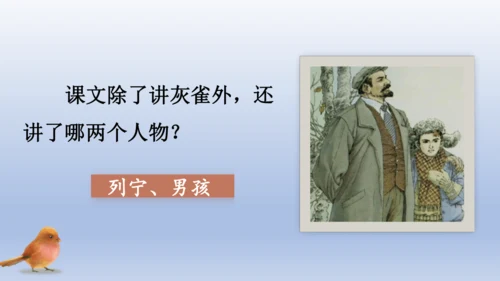 【同步课件】部编版语文三年级上册  25.灰雀（2课时）