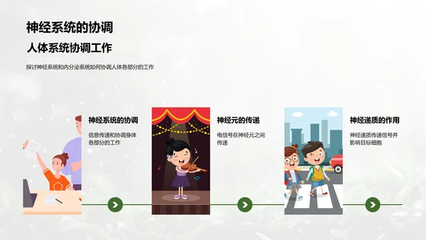 人体系统协作讲座PPT模板