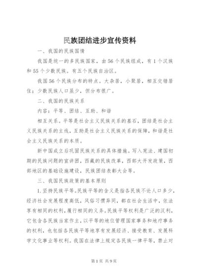 民族团结进步宣传资料.docx