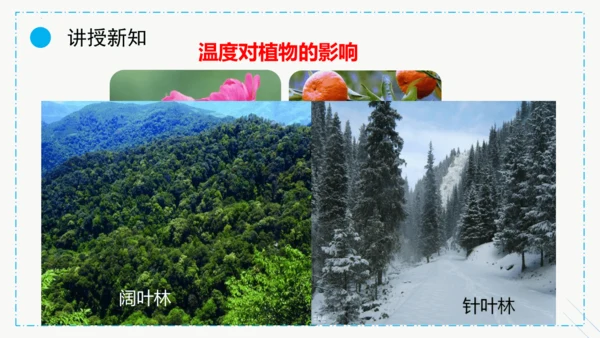 1.2.1生物与环境的关系课件2023--2024学年人教版生物七年级上册(共30张PPT)