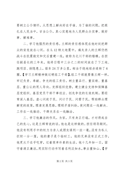 学习兰辉精神做过硬组工干部.docx